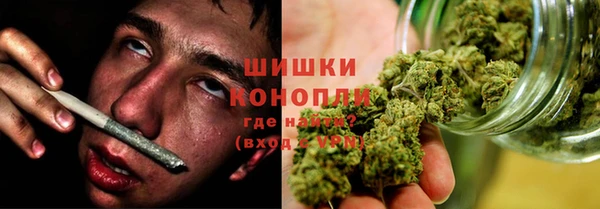 индика Верхний Тагил