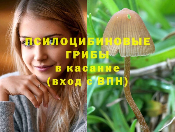 метамфетамин Верея