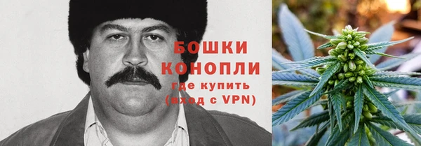 индика Верхний Тагил
