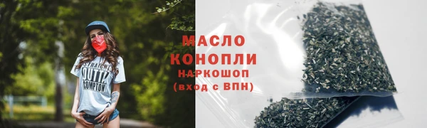 индика Верхний Тагил