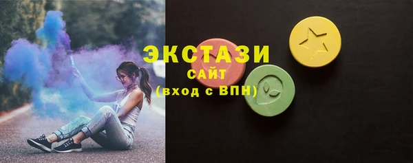 индика Верхний Тагил