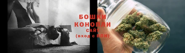 индика Верхний Тагил