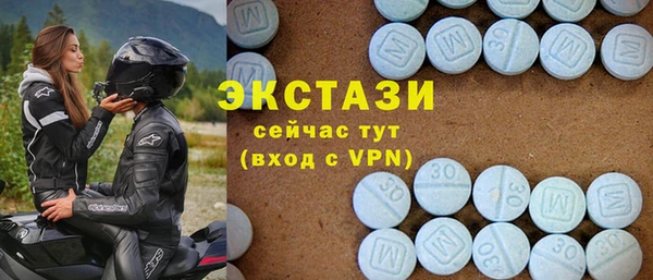 индика Верхний Тагил
