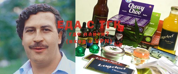 индика Верхний Тагил