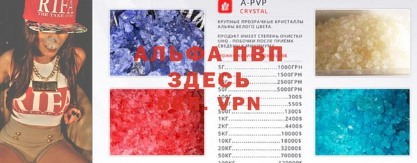 индика Верхний Тагил